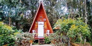 Une cabane en bois avec un toit triangulaire, entourée d’une végétation luxuriante.