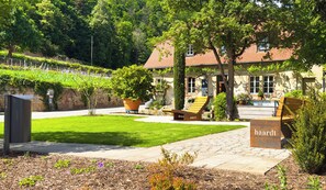 Terrain de l’hébergement 