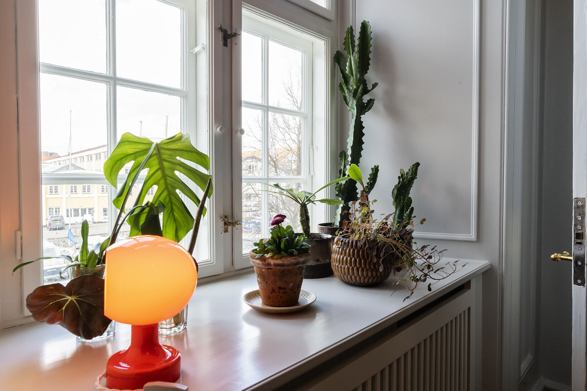Een vensterbank met verschillende potplanten, een rode lamp en een uitzicht op gebouwen.