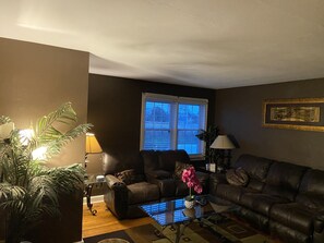 TV, video games - Everything and more. (Norfolk)