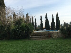A garden with a pool, steps, and tall trees.