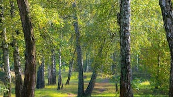 Hiking