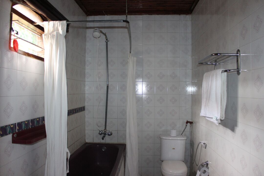 Une salle de bain avec une baignoire, des toilettes et une douche.