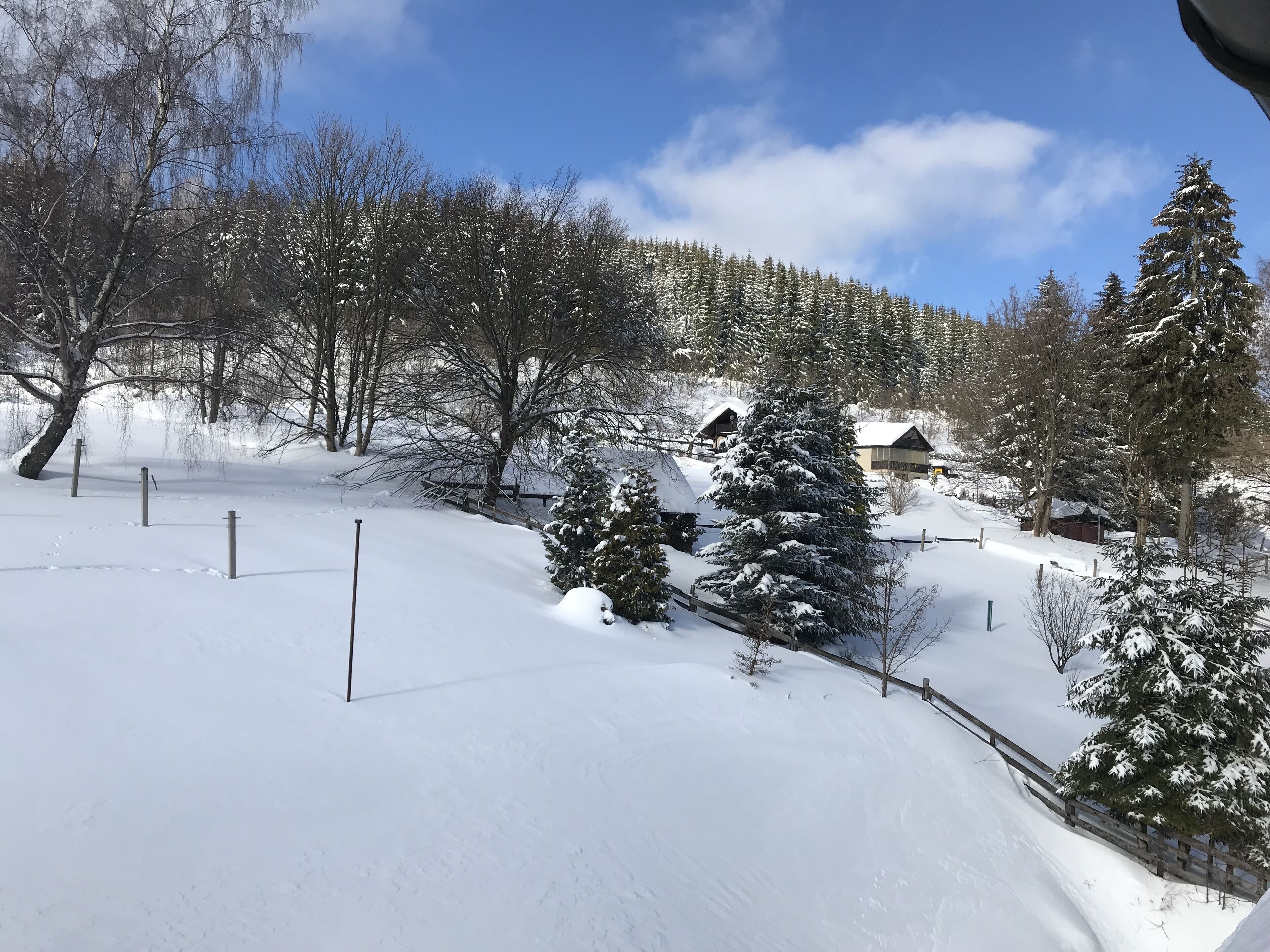 Paisaje nevado con una valla de madera, árboles cubiertos de nieve y un edificio con techo inclinado.