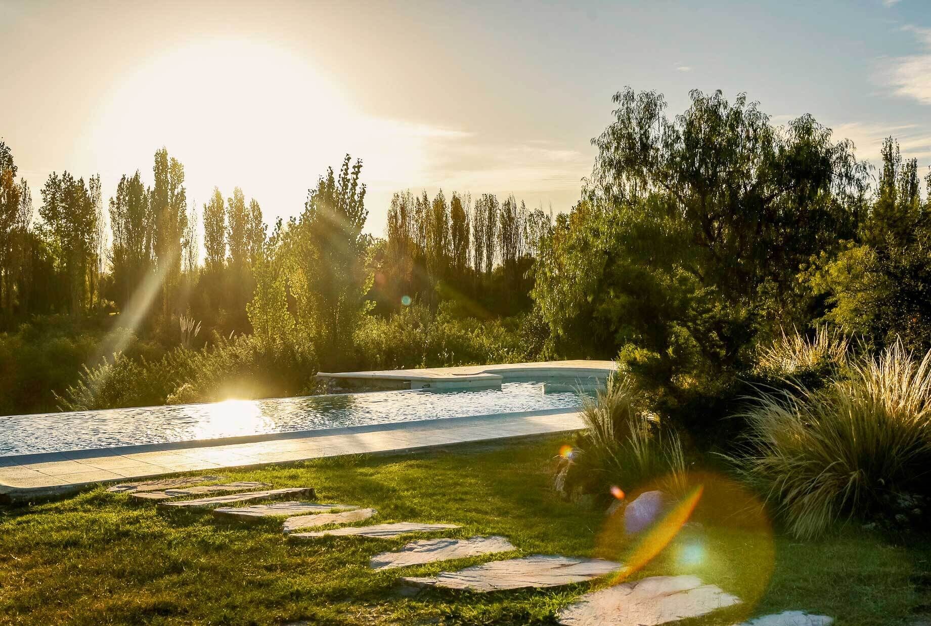 Un entorno tranquilo al aire libre con piscina, escalones de piedra y abundante vegetación.