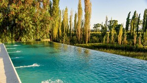 A rectangular swimming pool with clear blue water, surrounded by tall trees and greenery. - La Escondida San Rafael - Cabañas (San Rafael)
