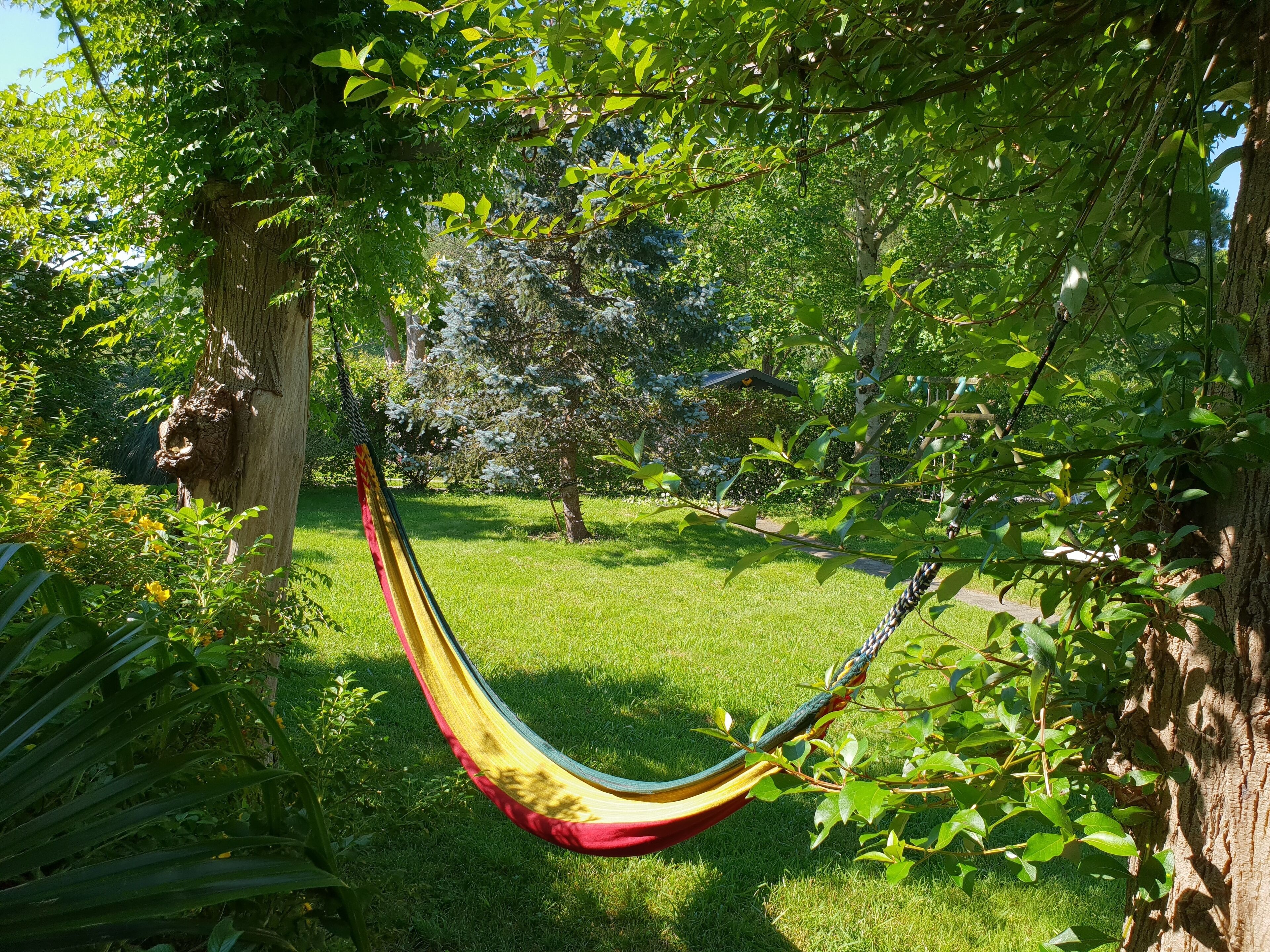 A hammock hanging between trees in a lush garden.