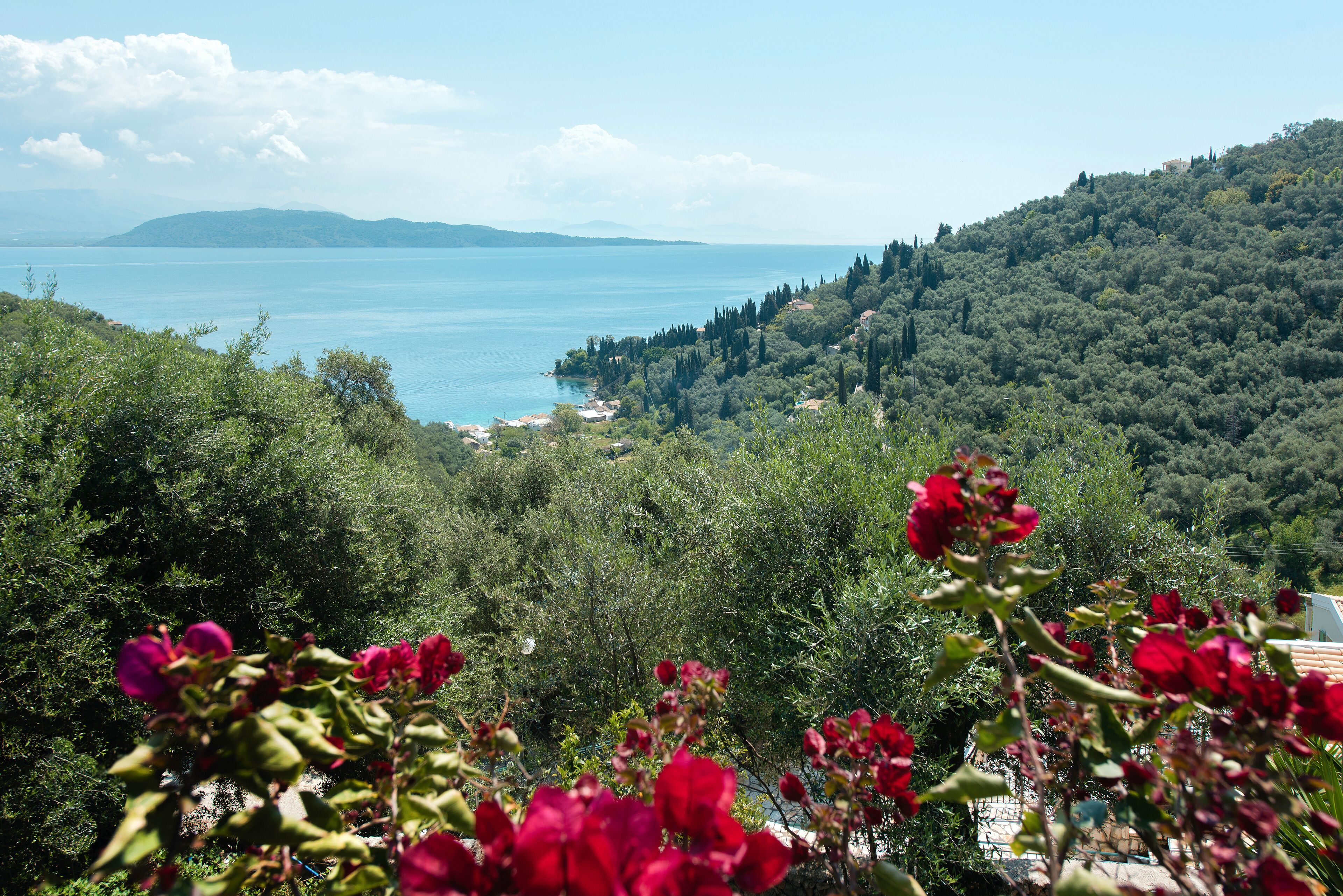 A coastal landscape with dense greenery and a view of the sea.