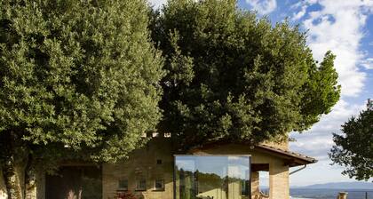 Villa Fé with swimming pool in Assisi