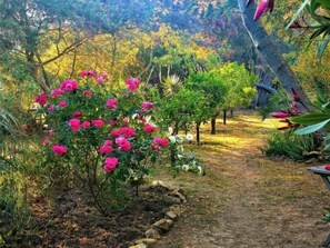 Property grounds - Studio & large garden 200m Calvi beach (Calvi)