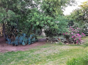 Property grounds - Studio & large garden 200m Calvi beach (Calvi)