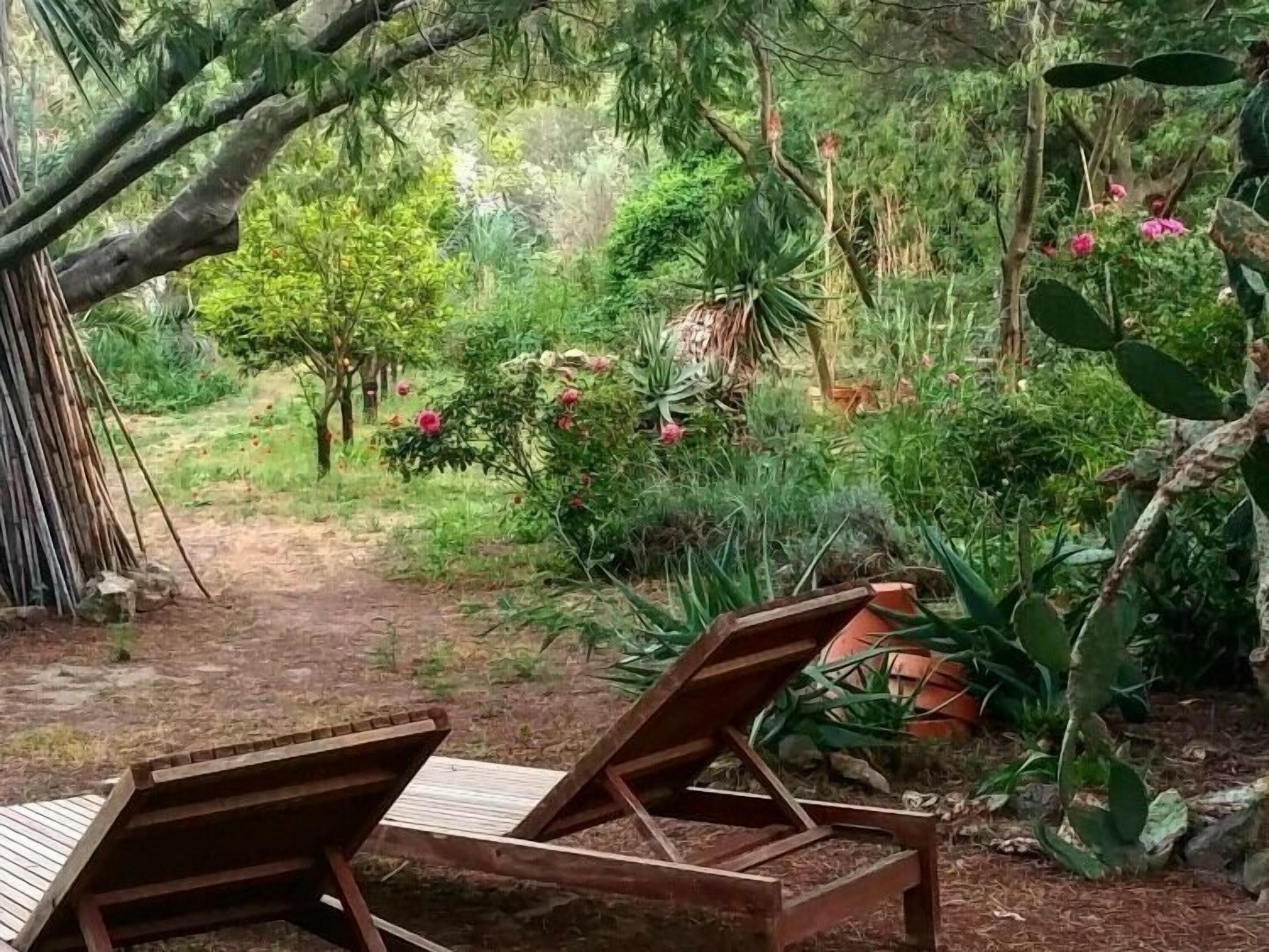 Una terrassa de fusta amb dues gandules, envoltada de vegetació abundant i diferents plantes.