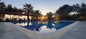 حمّام سباحة خارجي