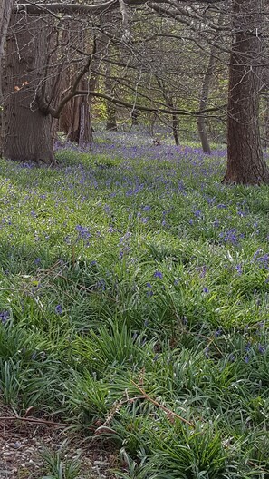 House, Multiple Beds | Property grounds - Inviting 2 Bedroom Barn Conversion, Rural Norfolk (Norwich)