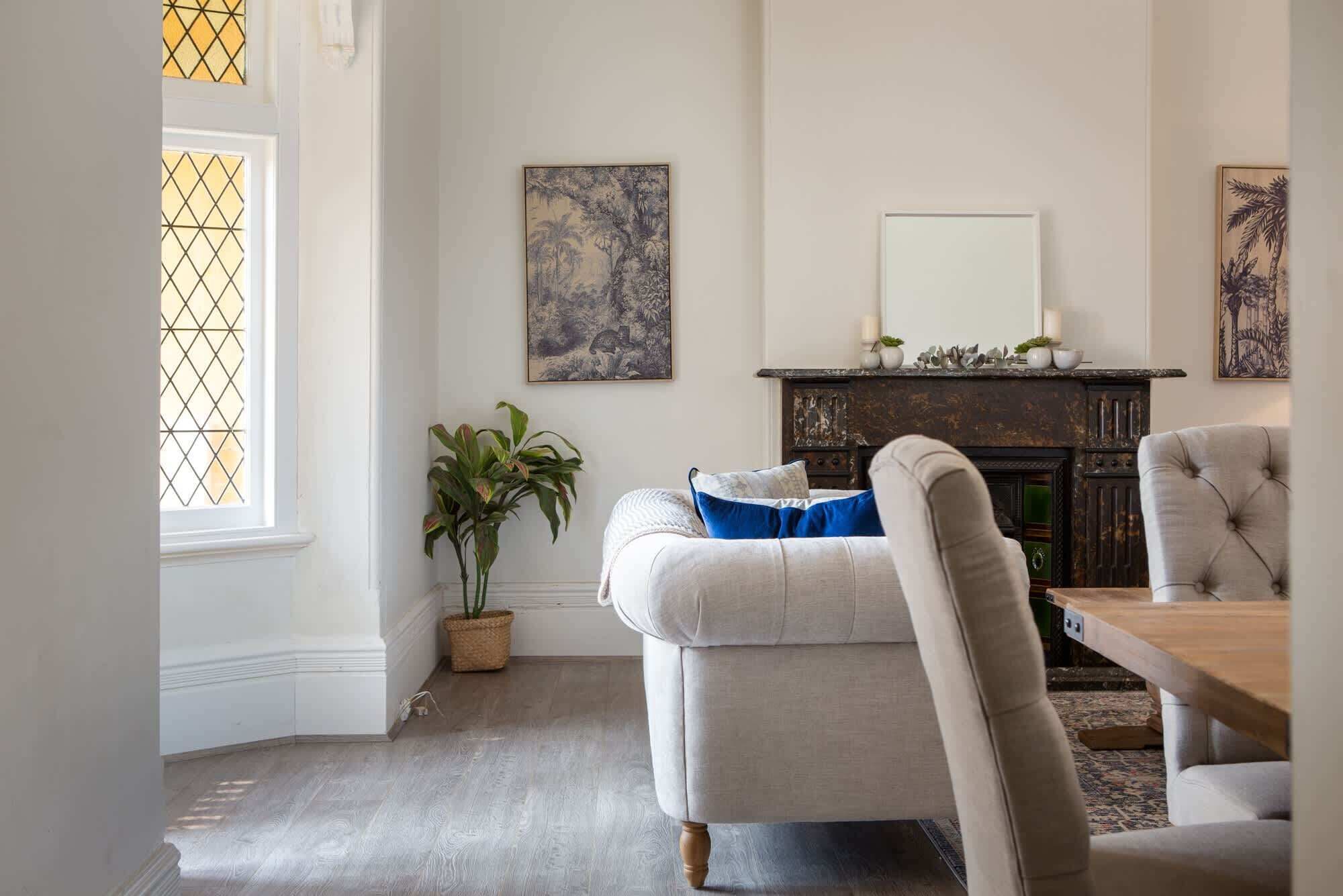 تلفزيون