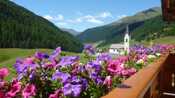 A balcony with a row of purple and pink flowers, a church in the background, and a mountainous landscape. - Holiday apartment valley view (Curon Venosta)