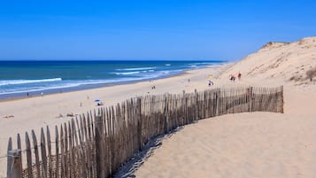 Plage, chaises longues