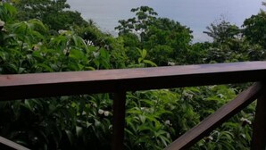 Vista de um deck de madeira com paisagem verdejante e um corpo d'água.