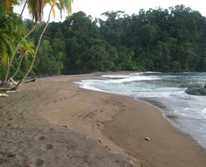 Playa