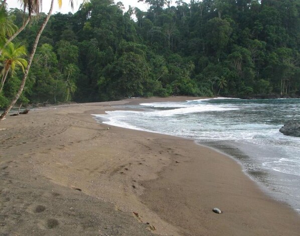 Beach - Bungalow 8 in Lodge Punta Marenco (Drake)