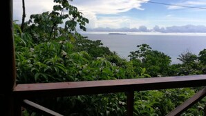 Vista desde una terraza de madera con un paisaje verde exuberante y una masa de agua.