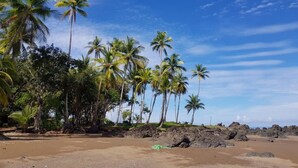 Ein Strand mit Palmen und felsigem Gelände.