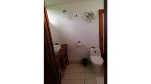 Bathroom features a vanity with sink and mirror, toilet, and trash bin.