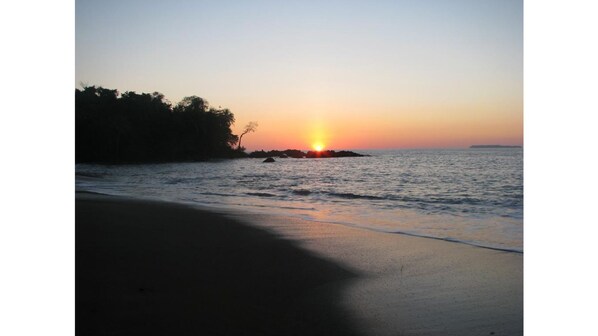 Enjoy a serene beach experience with tranquil waters and a natural border of trees.