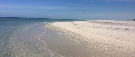 Beach nearby, sun-loungers, beach towels