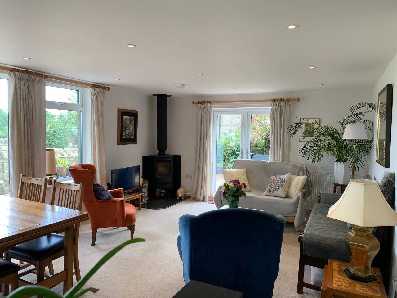 Smart TV, caminetto, libri