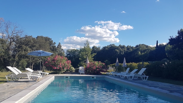 A swimming pool with lounge chairs and umbrellas, surrounded by trees and shrubs.