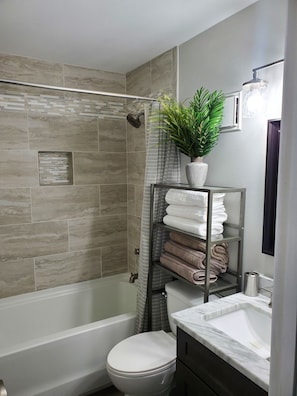 Combined shower/tub, hair dryer, towels, toilet paper