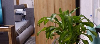 Suite Exécutive pour les entreprises. 56 m² sentiment Loft avec plancher en bois