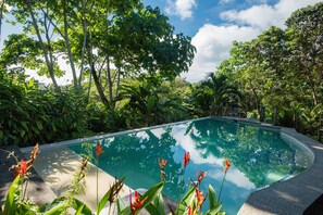 Outdoor pool, pool loungers