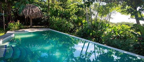 Piscine extérieure, chaises longues