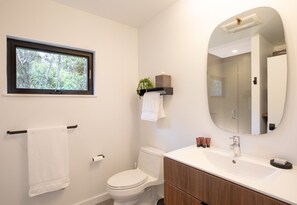 Shower, hair dryer, towels, shampoo