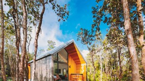 A modern cabin with a large glass door, wooden interior, and a stone pathway leading to it, surrounded by trees. - Kuono at Volcano   . (Volcano)