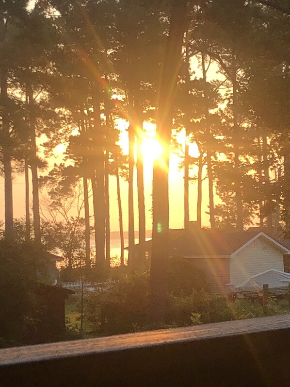 View from property