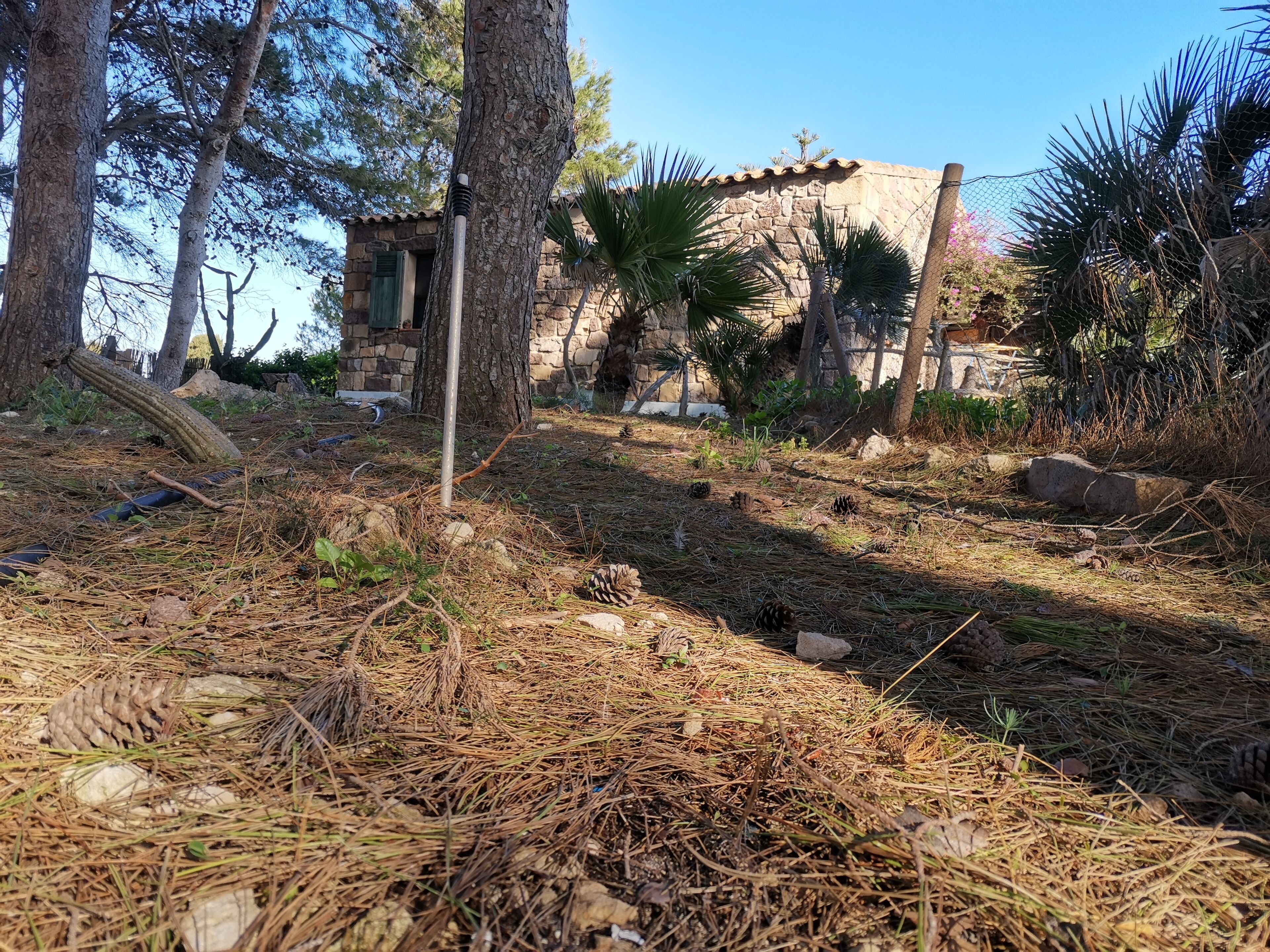 Terrein van de accommodatie