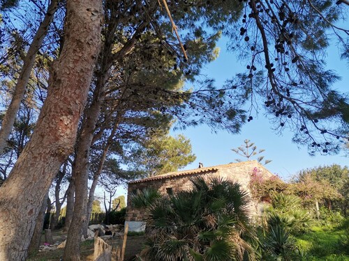 appartement avec pinède