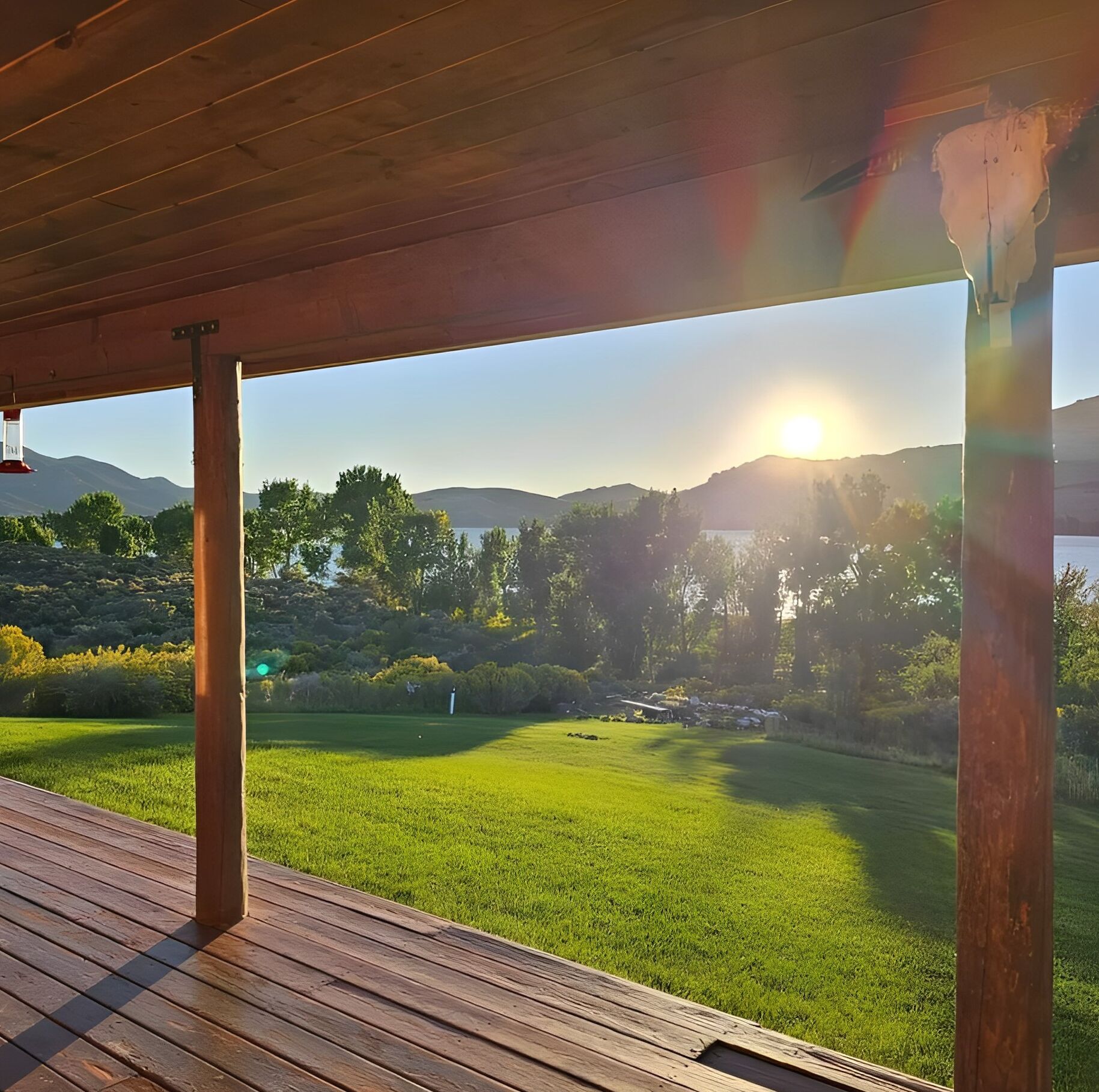 Terrein van de accommodatie