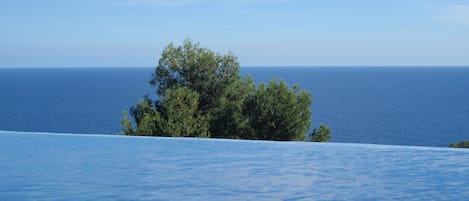 A clear view of the ocean and a tree in the foreground.