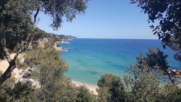 A coastal landscape with a beach, trees, and a clear view of the sea. - Apartment OCEAN AND FOREST VIEWS WITH PRIVATE POOL (2 rooms) (Blanes)