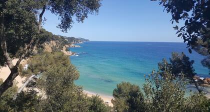 Apartment OCEAN AND FOREST VIEWS WITH PRIVATE POOL (2 rooms)