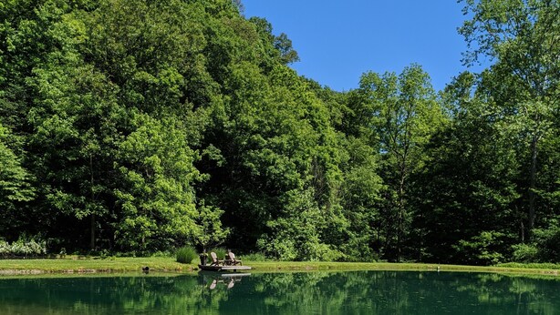 Un lac paisible, bordé de kayaks, entouré d’une forêt verdoyante et dense.