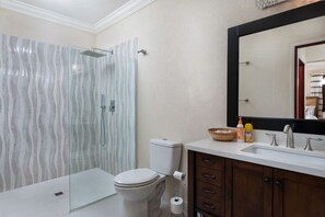 Combined shower/tub, jetted tub, hair dryer, towels