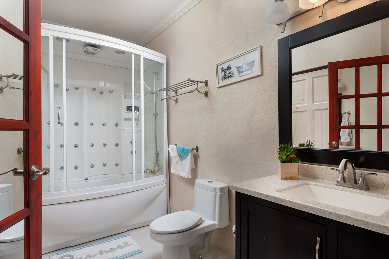 A bathroom with a glass-enclosed shower, a white toilet, a sink with a mirror, and a small potted plant on the countertop.