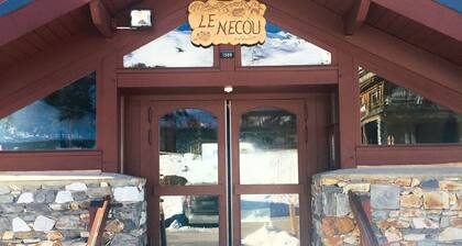 APARTMENT sleeps 4. TRACK FEET. Departure and return to ski. Studio cabin.