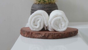 A bathroom with a white sink, a wooden tray with rolled towels, and a cactus in a pot.