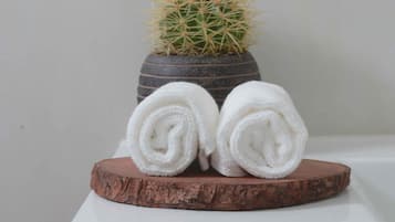 Rom – comfort | Baderomsfasiliteter | Dusj, dusjhode med hydromassaje og toalettartikler (inkludert)